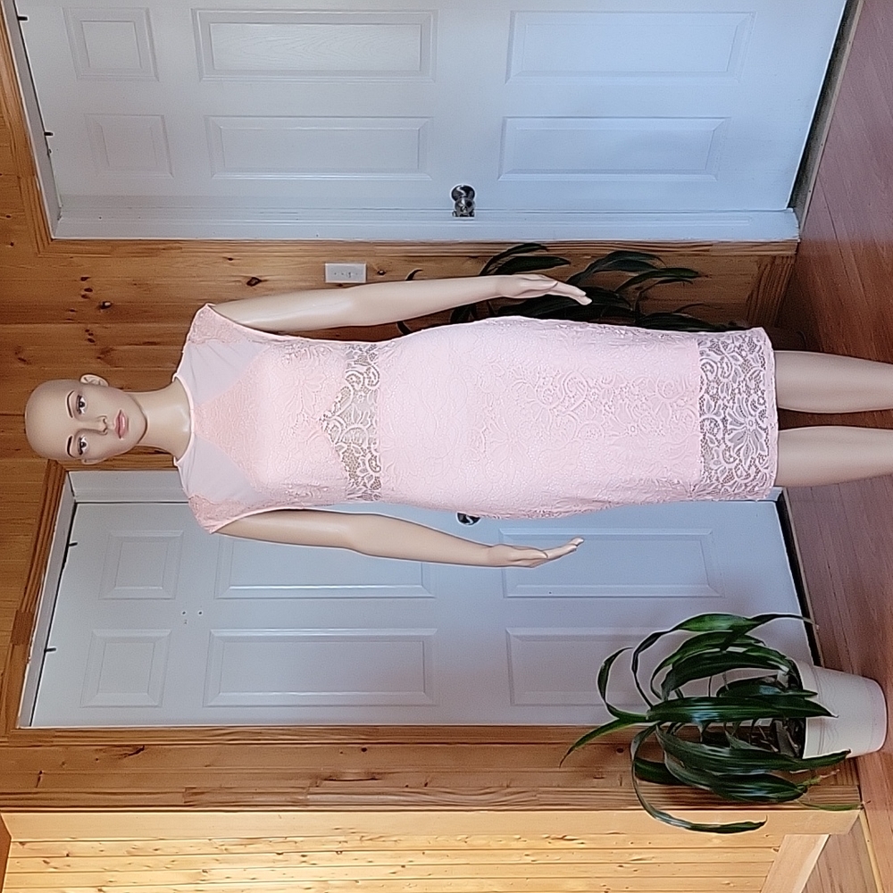Windsor Pastel Pink Lace Bodycon Dress